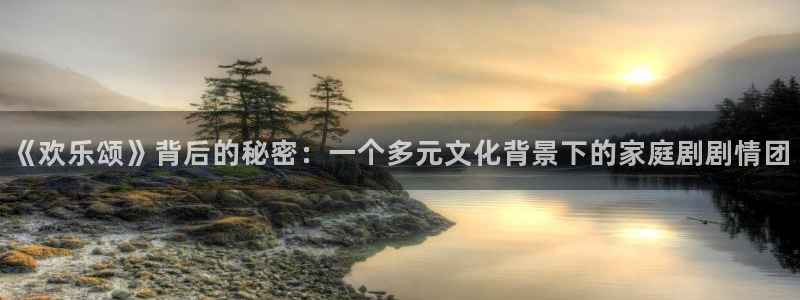 优游国际官网：《欢乐颂》背后的秘密：一个多元文化背景下的家庭剧剧情团