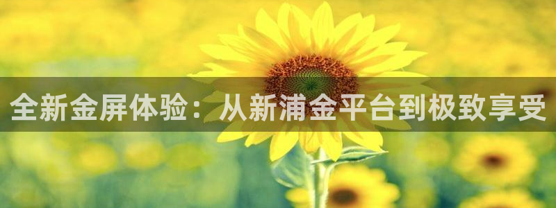 优游国际官网首页：全新金屏体验：从新浦金平台到极致享受