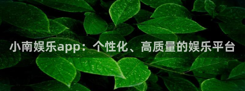 优游国际官网下载：小南娱乐app：个性化、高质量的娱乐平台