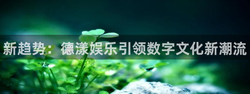 优游国际官网首页